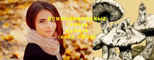 гашиш Абаза