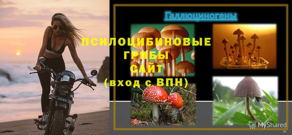 герыч Абинск